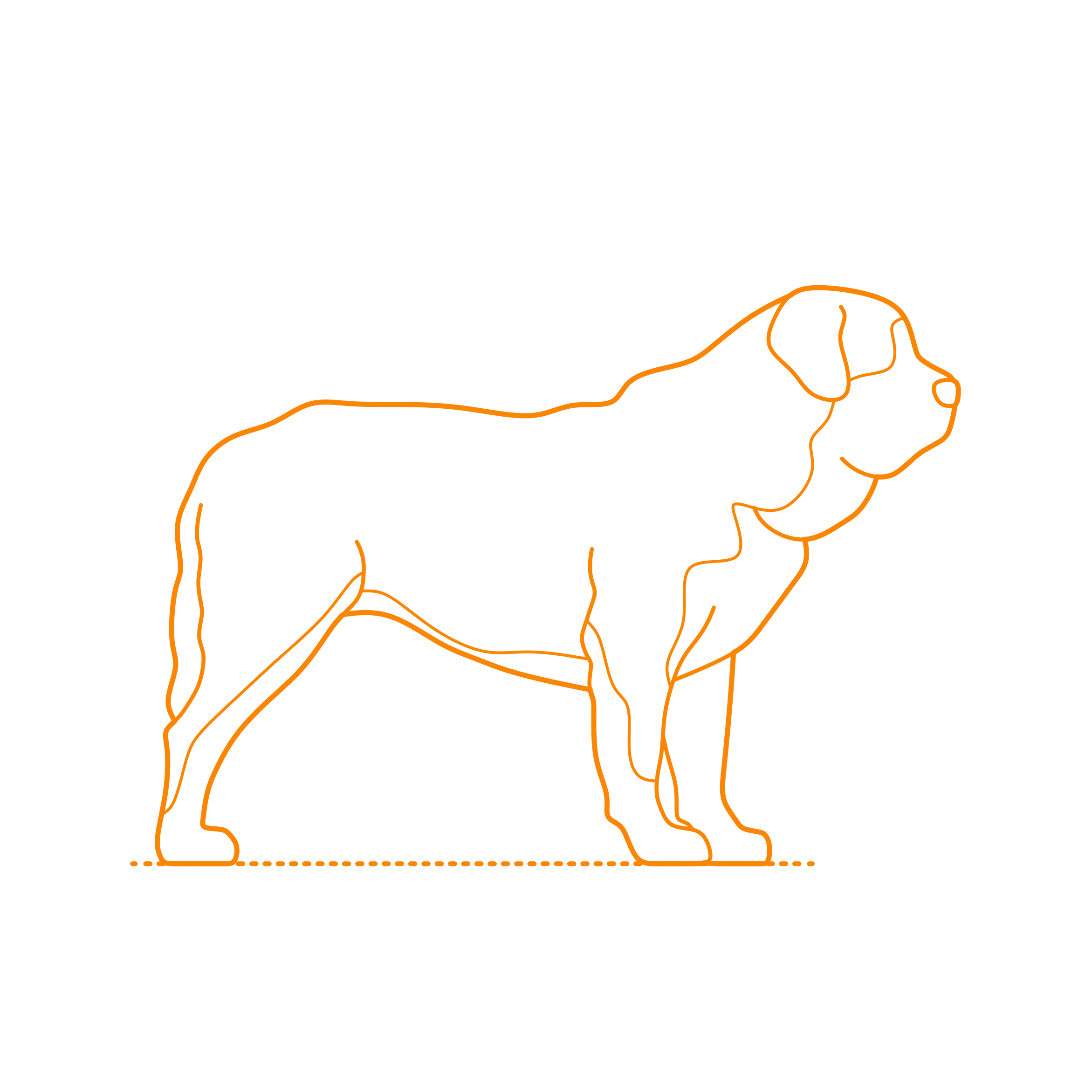 Animals Dogs Spanish Mastiff Tracing Svg Vector Free Vectors